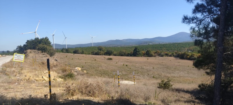 Bayramiç Köylü Köyü`daTarla. - 5